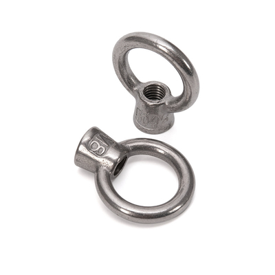 Metrisches Messsystem Hochpräzisions-Edelstahl M8 M10 M12 DIN 580 Aufzugs-Augenmuttern