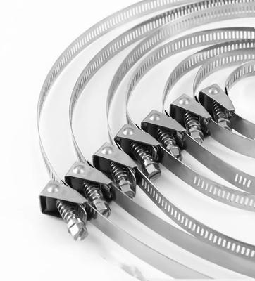 Selbstverriegelnde Kabelbindungen aus Edelstahl für schwere Anwendungen 4.6*300mm SS304/316 Fscat