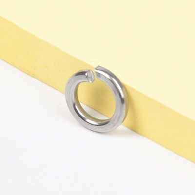 Anpassbare Optionen Scheibenfeder kundenspezifisches Design für M3M4M5M6M8M10M12M14M16M18M20M22M24M27m30 Schrauben in 18-8 Edelstahl