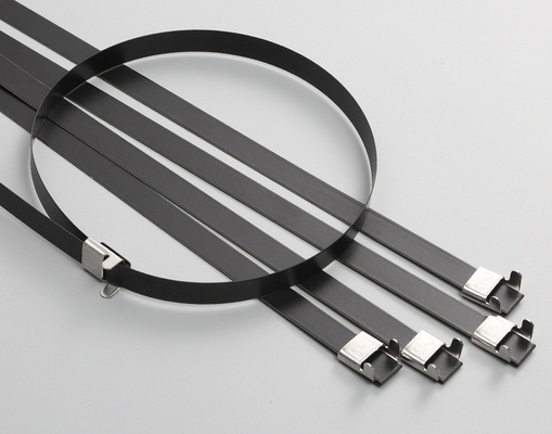 GB-Standard Selbstverriegelung SS304/316 Edelstahlkabelverbindungen 4,6*300 mm innerhalb der ISO für Fscat-Rohstoff