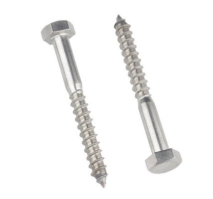 Metrisches Messsystem A2 A4 Hex Lag Schraube aus Edelstahl 304 316 Din 571 Holz Lag Schraube