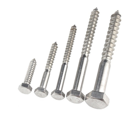 Metrisches Messsystem A2 A4 Hex Lag Schraube aus Edelstahl 304 316 Din 571 Holz Lag Schraube