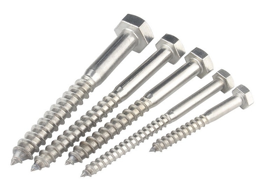 Metrisches Messsystem A2 A4 Hex Lag Schraube aus Edelstahl 304 316 Din 571 Holz Lag Schraube