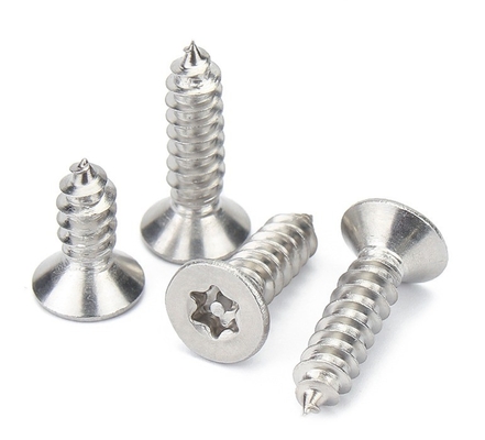 Galvanisierte Veredelung aus Edelstahl Selbstschraubschraube M1.2 M1.4 M1.7 M2 M2.3 M2.6 M3 M3.5 M4 M4.2 M5 M6 für den Bau