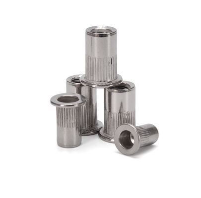 DIN Standard Zinkplattierte Kohlenstoffstahl Flachkopf Rivetnut Blind Rivet Nüsse Gewinde Inserte Blend Nuss für vielseitige Befestigungslösungen