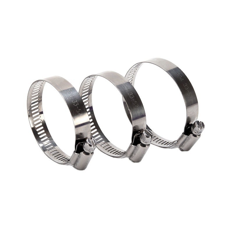 Metrische Schraube aus Edelstahl mit Universal-Wurm-Antriebsklemme für nicht standardisierte Rohre und Schläuche in Gesundheitsanwendungen