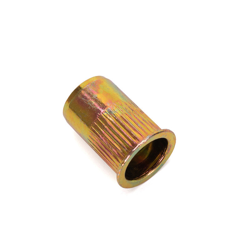 Wasseraufbereitung Maßgeschneiderte Hardware Rivet-Nuss Hohl Zinkbeschichtung-Farbung Schloss-Nüsse Einfügen Blind-Nüsse DIN Standard mit 304 Edelstahl