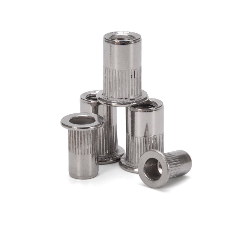 DIN Standard Zinkplattierte Kohlenstoffstahl Flachkopf Rivetnut Blind Rivet Nüsse Gewinde Inserte Blend Nuss für vielseitige Befestigungslösungen